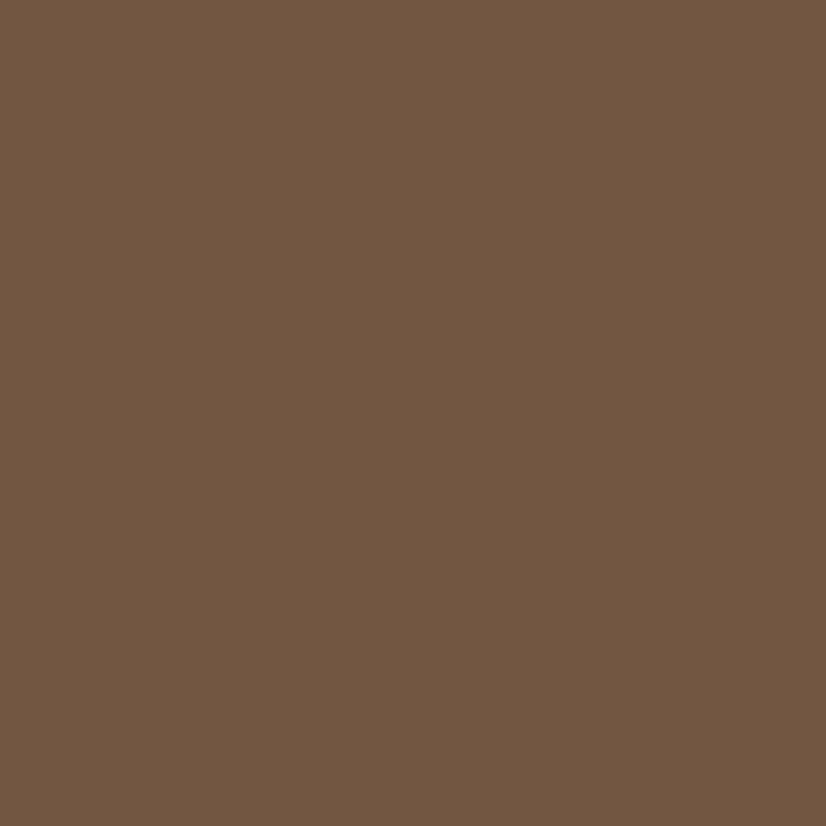 Brown Paint Colours – Centerpoint Paint and Decorating